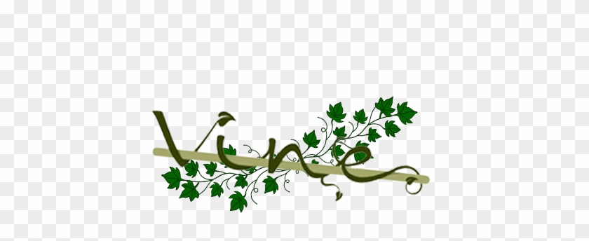 After Doing A Little Bit Of Digging, Some Interesting - Buds And Blooms Along The Vine [book] #1298640