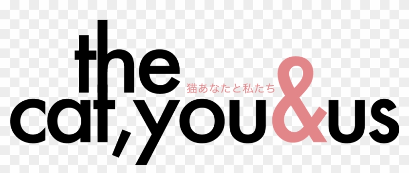 The Cat, You And Us - San Lorenzo #1299151