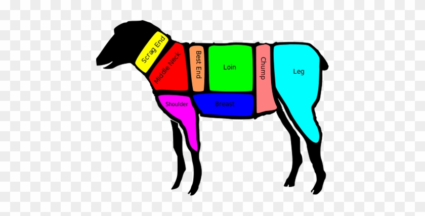 Shoulder - Primal Cuts Of Lamb #1299724
