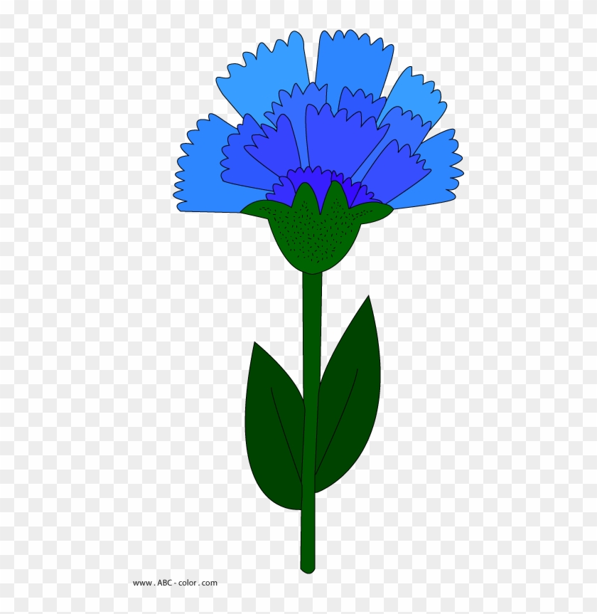 Cornflower Raster Clipart - Clip Art #1300225