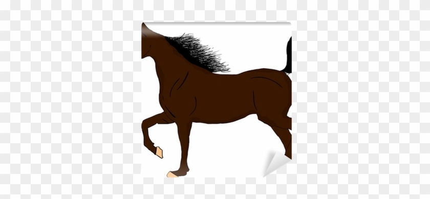 Fototapete Pferd Abbildung Clipart • Pixers® - Mane #1300339