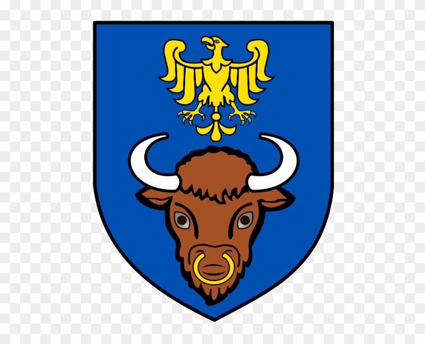 S - Miasto Żywiec #1301058