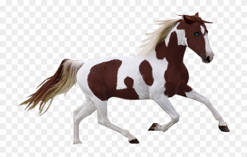 Pinto Horse Precut By Tennesseehorses - Pinto Horse Png #1301317