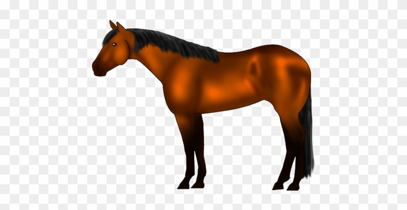 Qh-bay - American Quarter Horse Gif #1301475