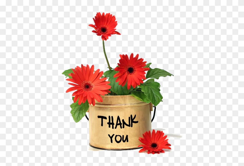 Flower Youtube Clip Art - Thank You With Flowers Gif #1302452