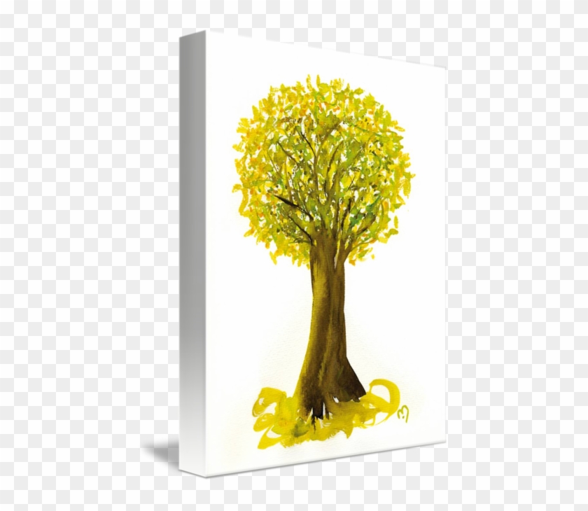 Oak #1302971