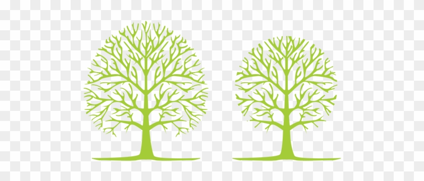 If A Tree Has Outgrown Its Location And Has Become - Illustration #1302974