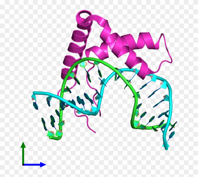 Ribbon Structure Of 3u2b - Ribbon Structure Of 3u2b #1303199