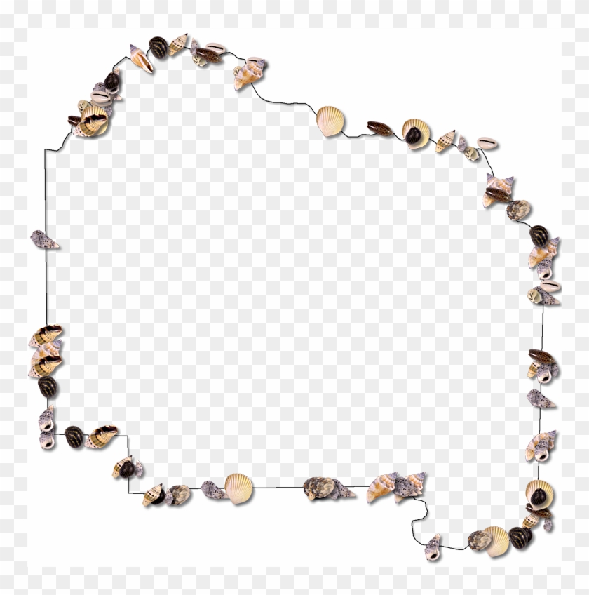 A Map Of Alachua With A Thin Black Outline, Inner Drop - Picture Frame #1303496