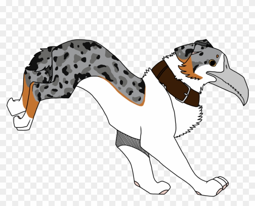 Tan Point Blue Merle #1305891