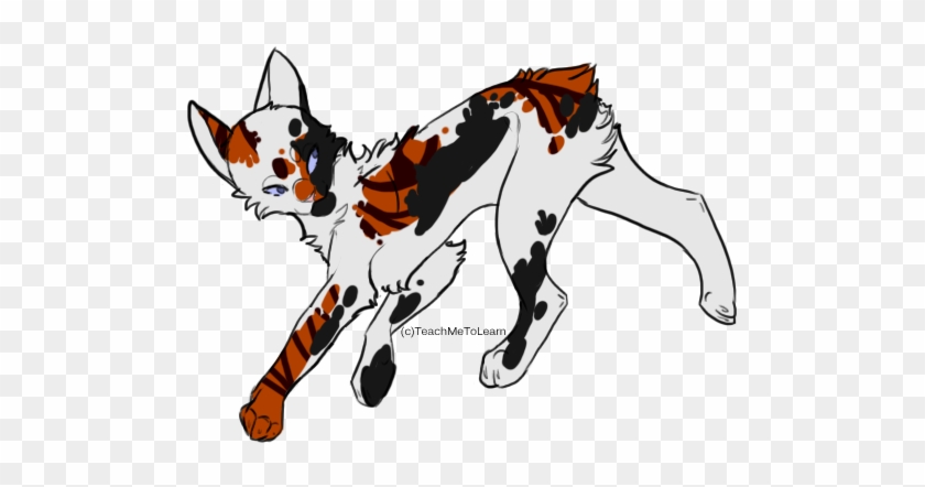 Closed Calico Cat Point Adoptable By Saltyadopts - Calico Warrior Cats #1305894