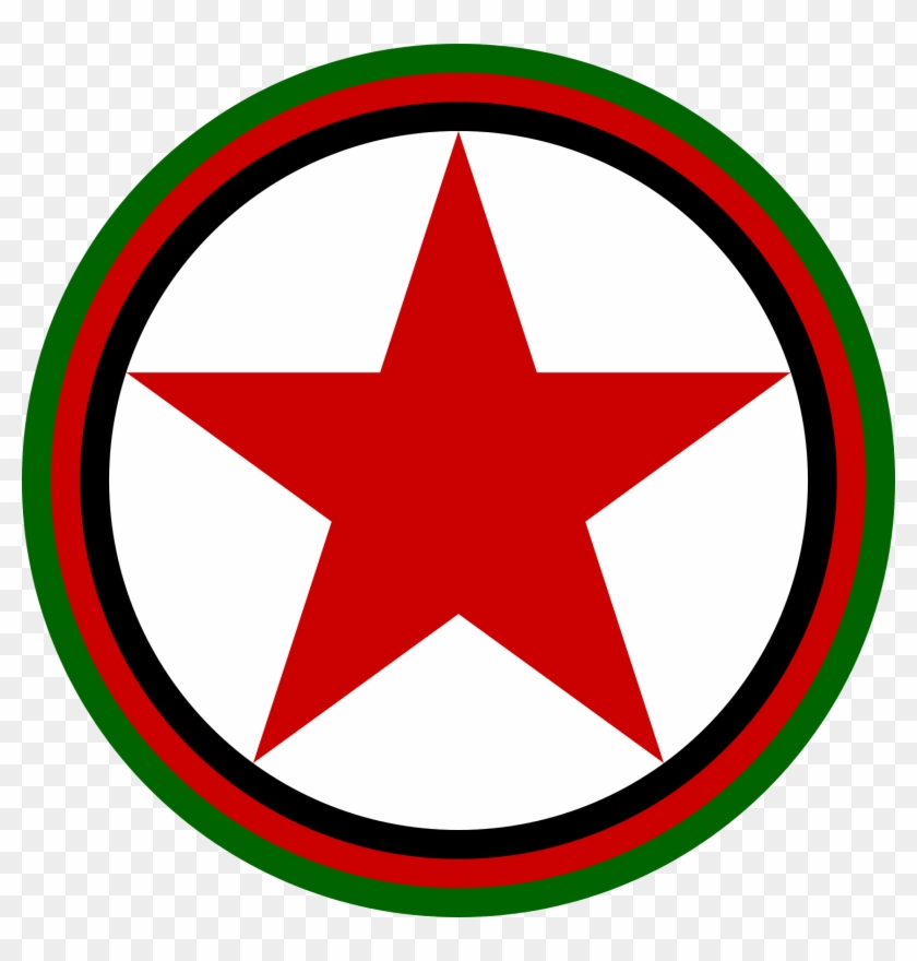 Roundel Of The Afghan Air Force - Logos With Black Star #1305967
