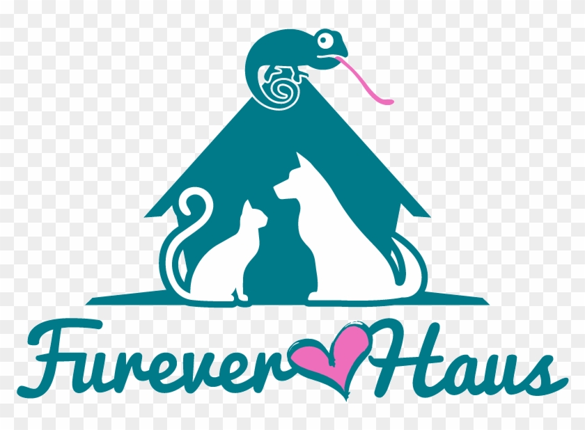 Furever Haus - Rv Living Freedom: Beginner's Guide To Living In A #1307225