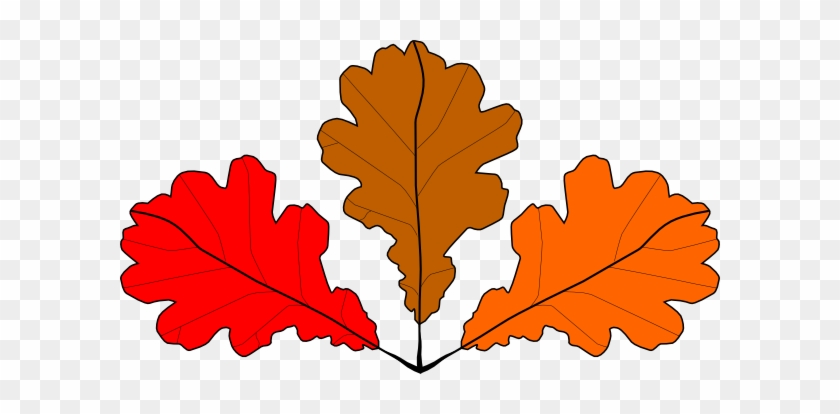 Showing Post & Media For Red Maple Tree Cartoon - Imagini Din Frunze De Toamna #27281