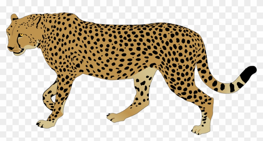 Top 68 Cheetah Clipart - Cheetah Images Clip Art #27600