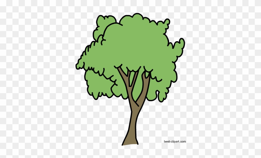 Free Big Tree Png Clipart Image - Portable Network Graphics #28512
