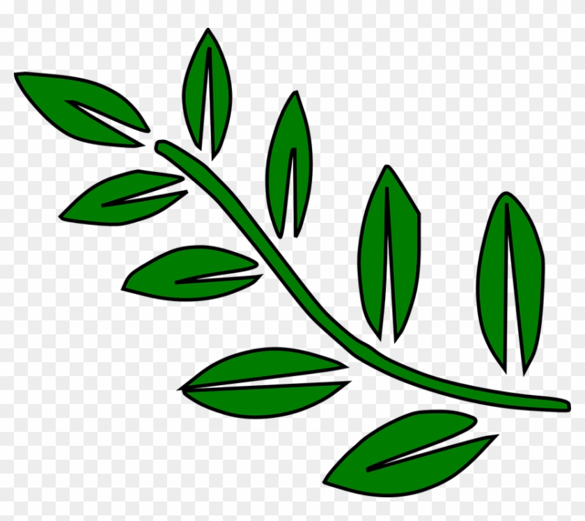 Fern Leaves Green Palm Tree Branches Branch - Tree Branch Clip Art #28601