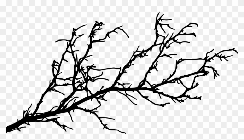 15 Tree Branch Silhouettes - Tree Branch Silhouette Png #28975