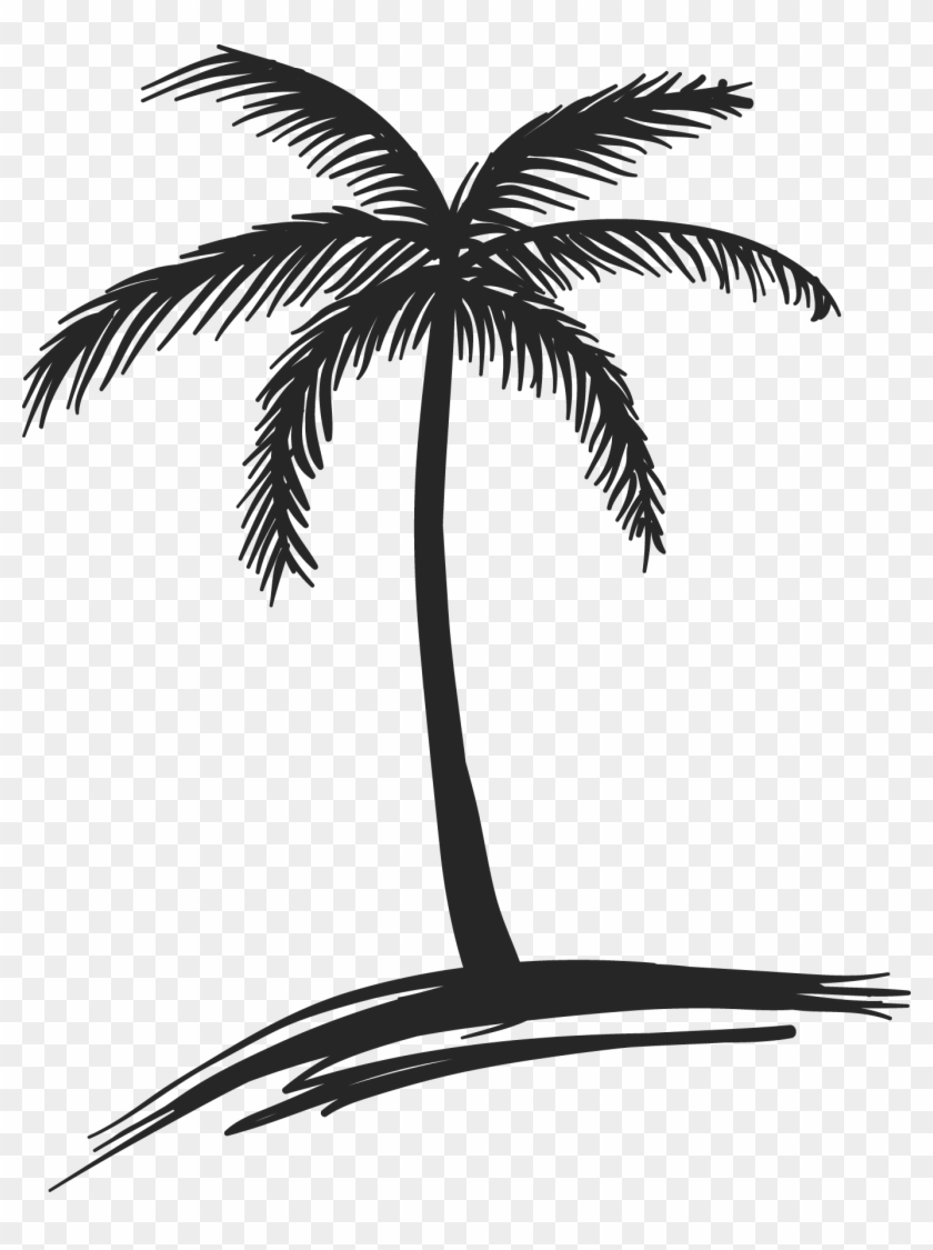 Images For Coconut Palm Tree Drawing - Palm Tree Drawing Png #28987