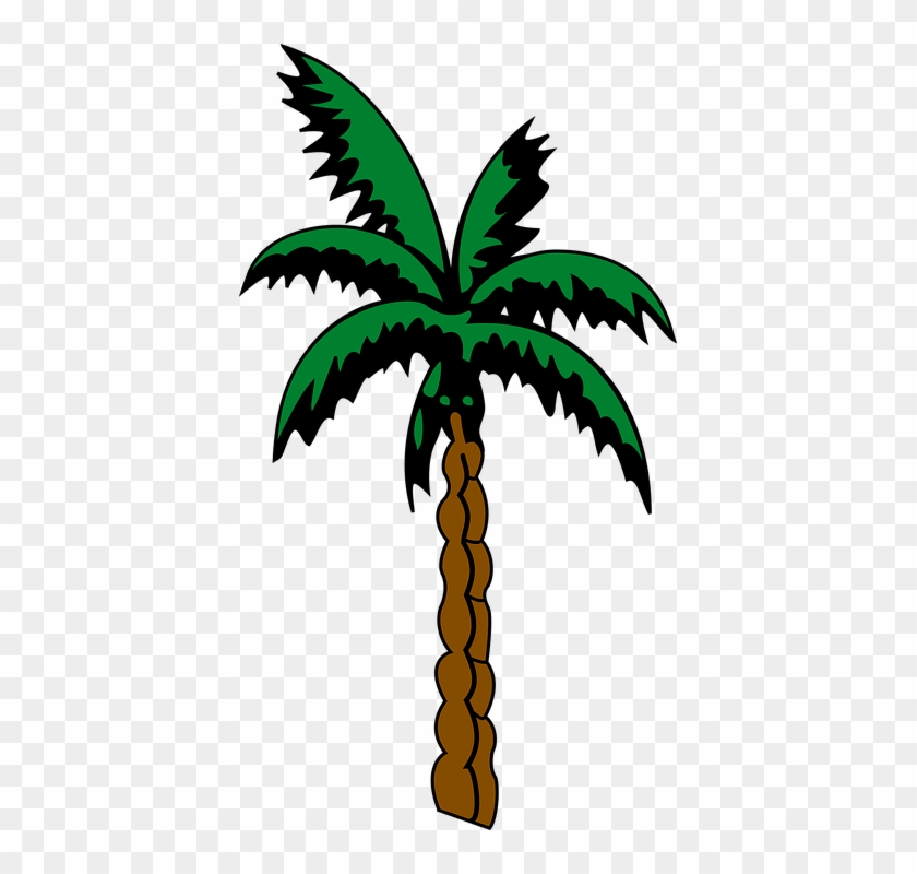Pin Free Palm Tree Clip Art Images - Suriname Coat Of Arms #29031
