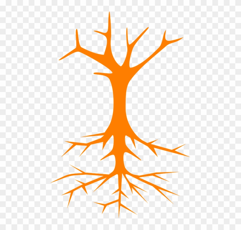 Tree Roots Stem Branches Naked Bare Cross Section - Tree Clip Art #29220