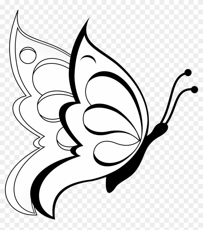 Butterfly Drawing For Kids #30173