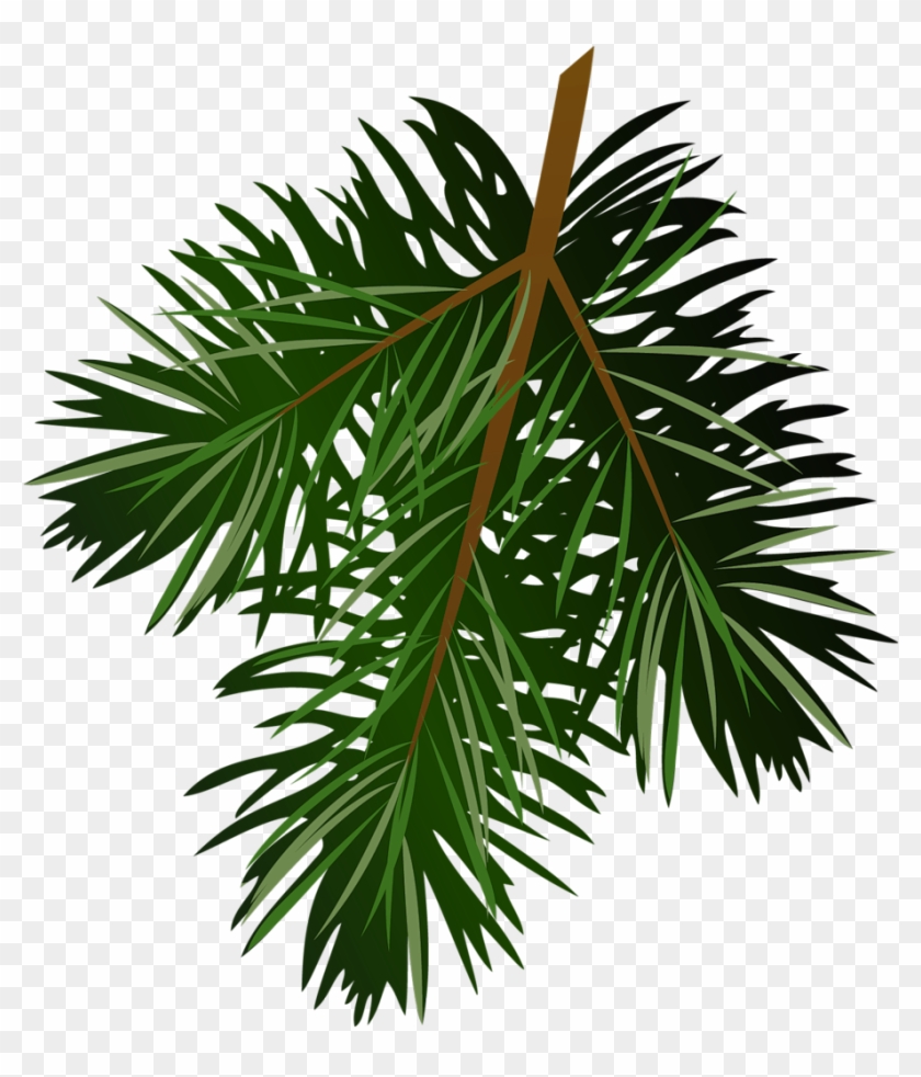 Transparent Pine Branch Clip Art Christmas - Pine Branch Png #30944