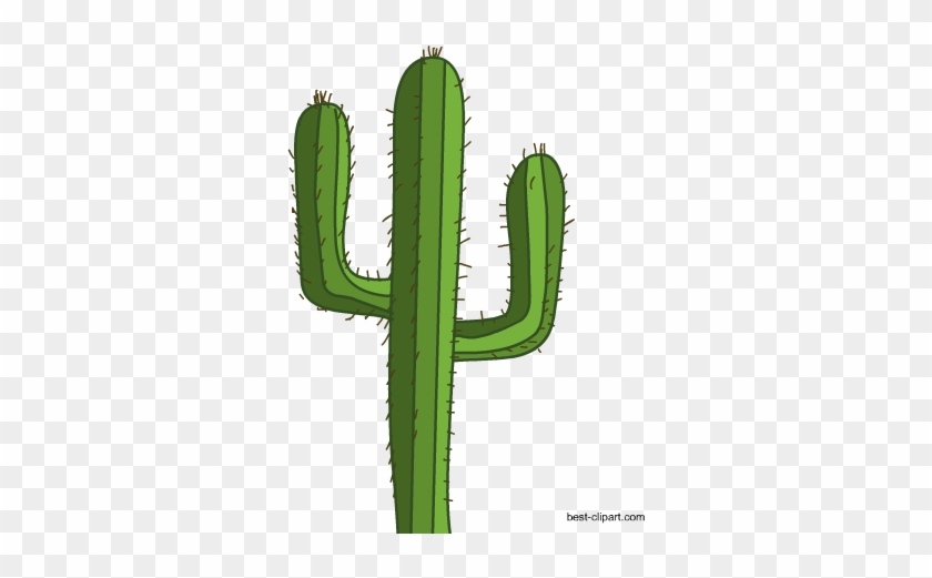 Free Cactus Clipart Free Image - Photo Booth #31378