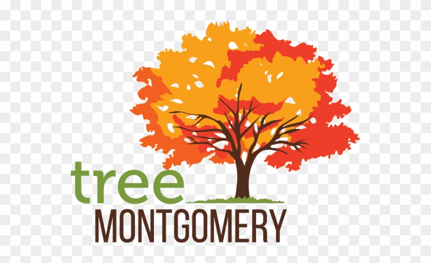 Tree Montgomery Logo - Autumn Tree Logo #31592