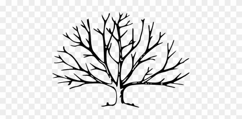 Coloring Trend Medium Size Cutting Down Trees Tree - Tree With No Leaves #31698