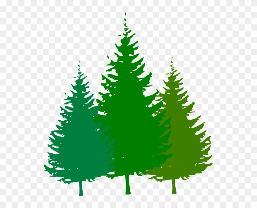 Forest Clip Art Free - Pine Tree Silhouette Vector #33548