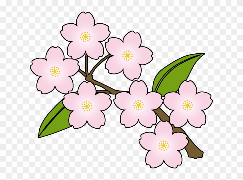 Japanese Flowers Clipart - Spring Sakura Clip Art #33777