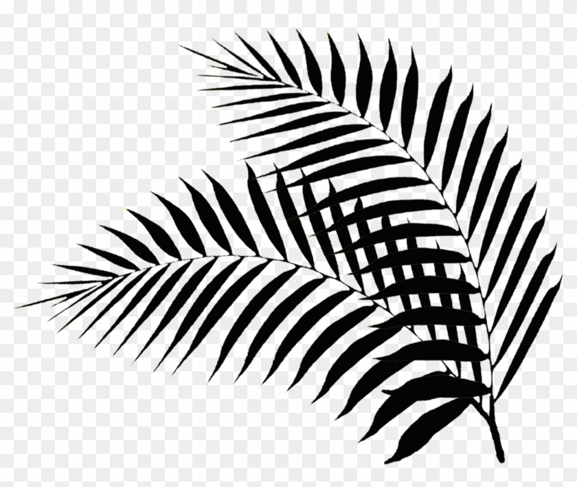 Palm Leaves - Black And White Palm Leaf Png #34559