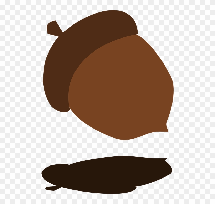 Fall Tree Acorn Shadow Falling Harvest Autumn - Acorn Falling From Trees Gif #34768