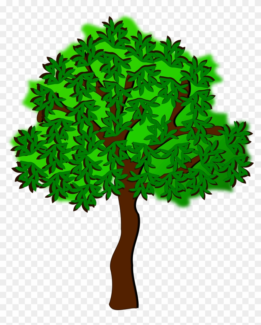 Clip Art, Flora, Nature, Plant, Tree - Summer Tree Clip Art #35586