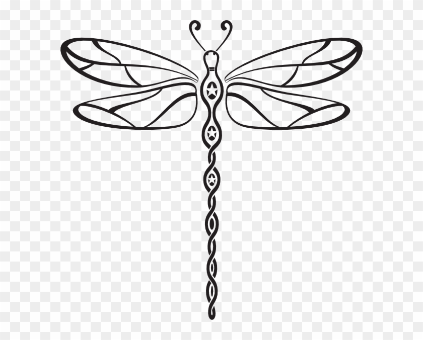 Welcome To The Website Of Susan Baldwin - Dragonfly Vector #204486