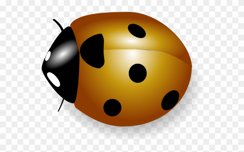 Free Vector Coccinelle Clip Art - Coccinelle Clipart #204988