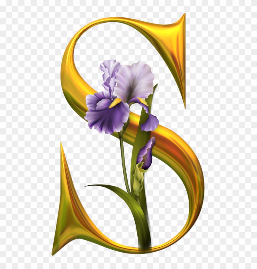 Clip Art - S Name Ka Image Download #206813