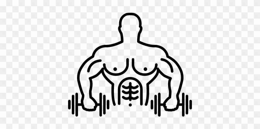 Muscular Male Gymnast Exercising With Two Dumbbells - Dumbbell #207567