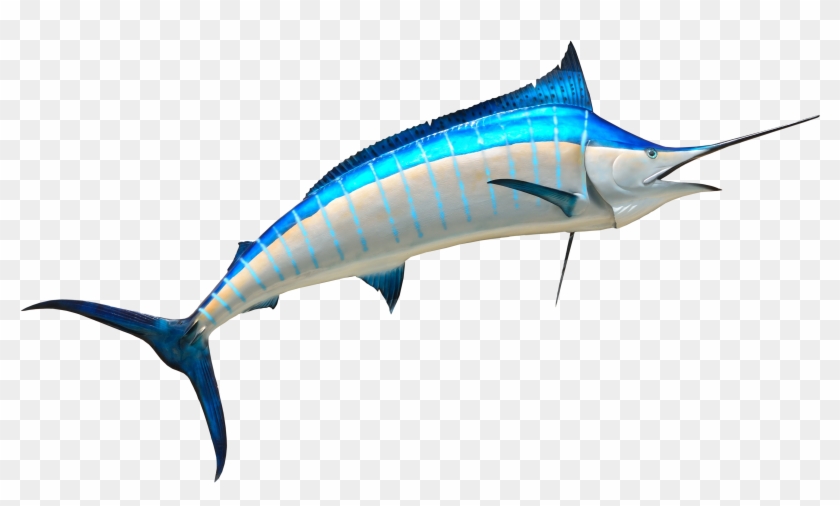 Fish Png Transparent Image Image - Fish Png #1310745