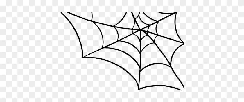 Png Transparent Spider Web Png #1311307