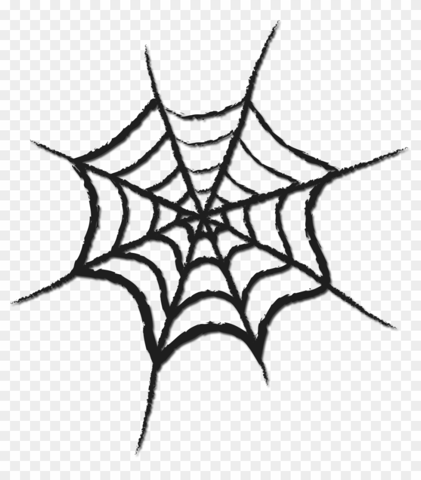 Spider Web #1311335