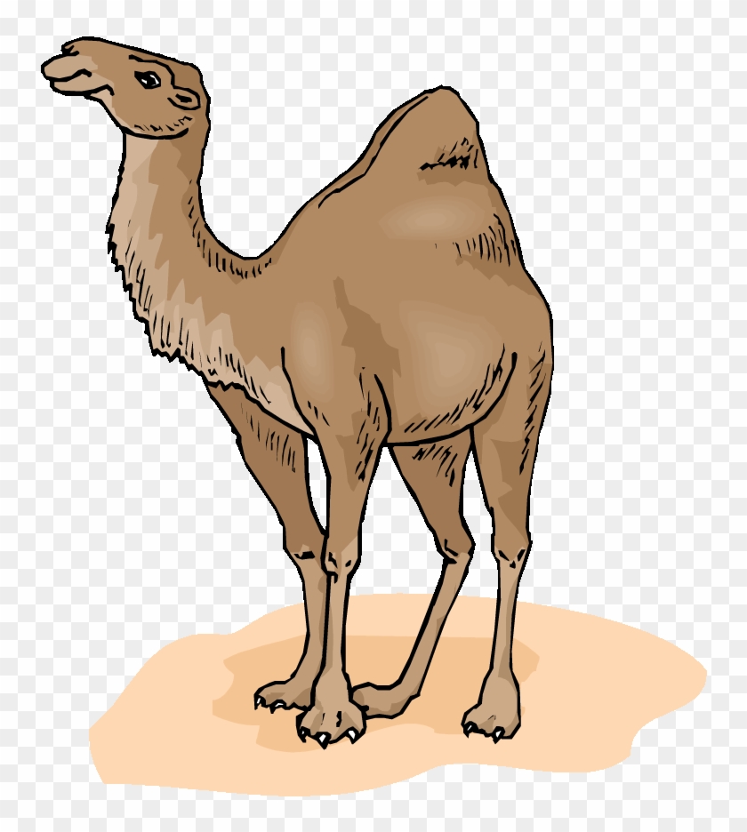 A Baby Camel And His Mom Have A Discussion - Camels In The Desert Clipart #1313038