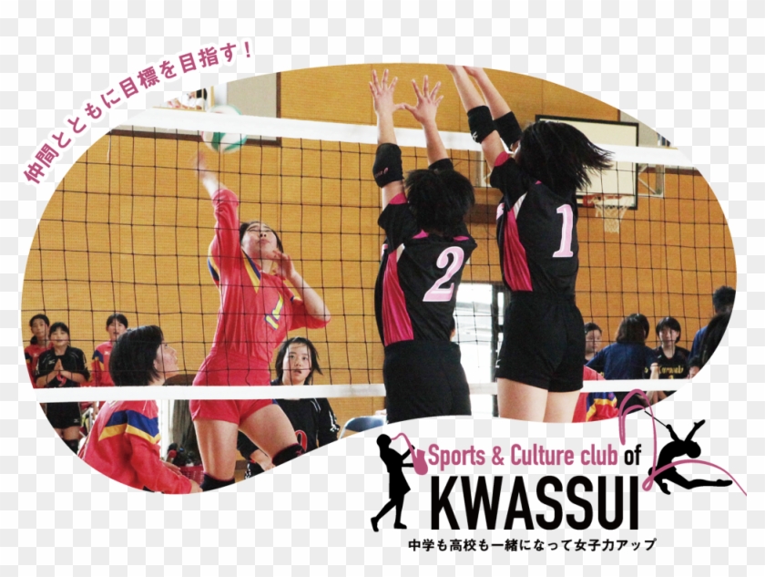 バレーボール部 - Volleyball #1313302
