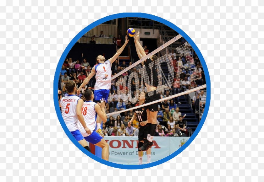 Volleyball - Volleyball #1313304
