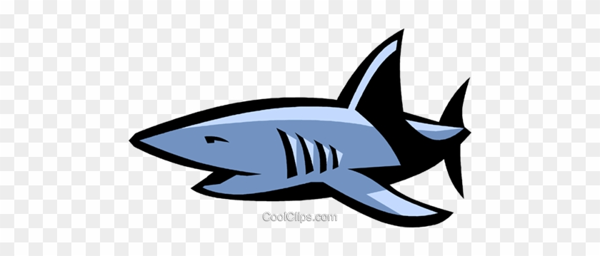 Tiburón Libres De Derechos Ilustraciones De Vectores - Clip Art #1314122