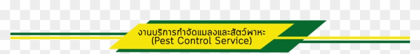 ปลวก - Circle #1315042
