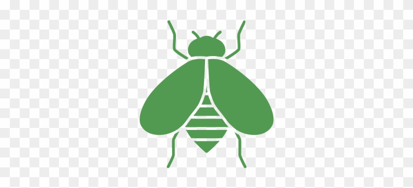Pest Control For Bees - Pest Control & Exterminator Of Orange County #1315062