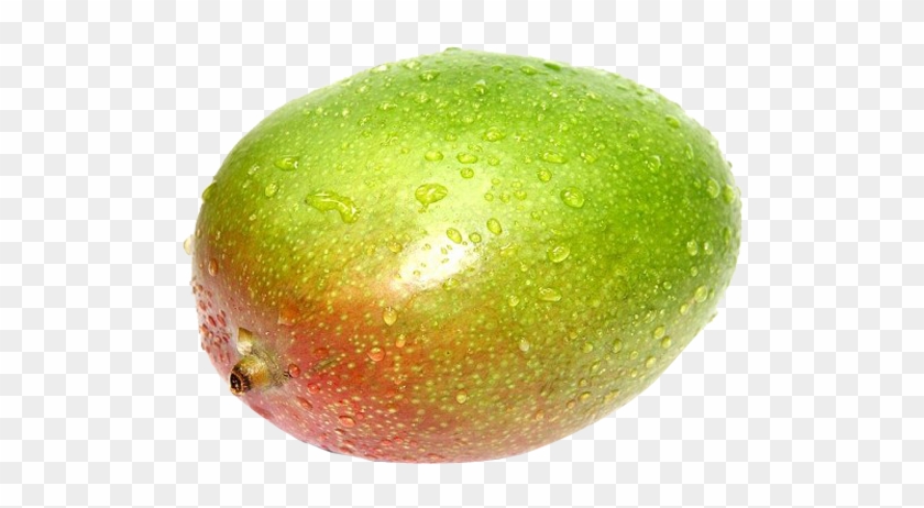 Stock Photography #1315068