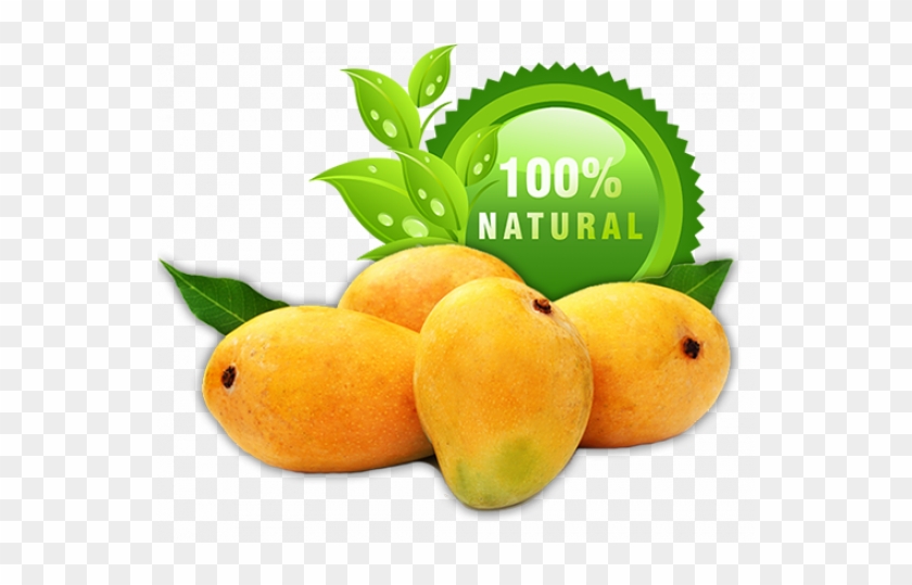 Gir Special Kesar Mango 3kg Gir Special Kesar Mango - Compostable Palm Leaf Plates - Square (pack Of 100) #1315169